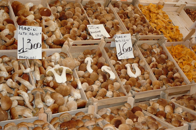 Fresh Porcini mushrooms in an Italian market