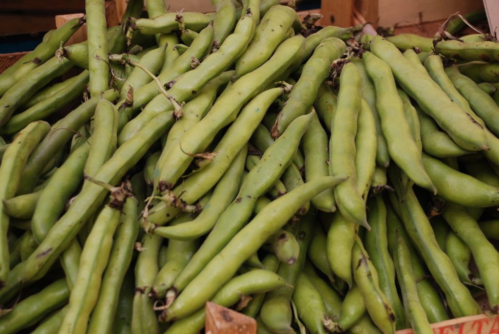 Fava Beans, Broad Beans, from the market